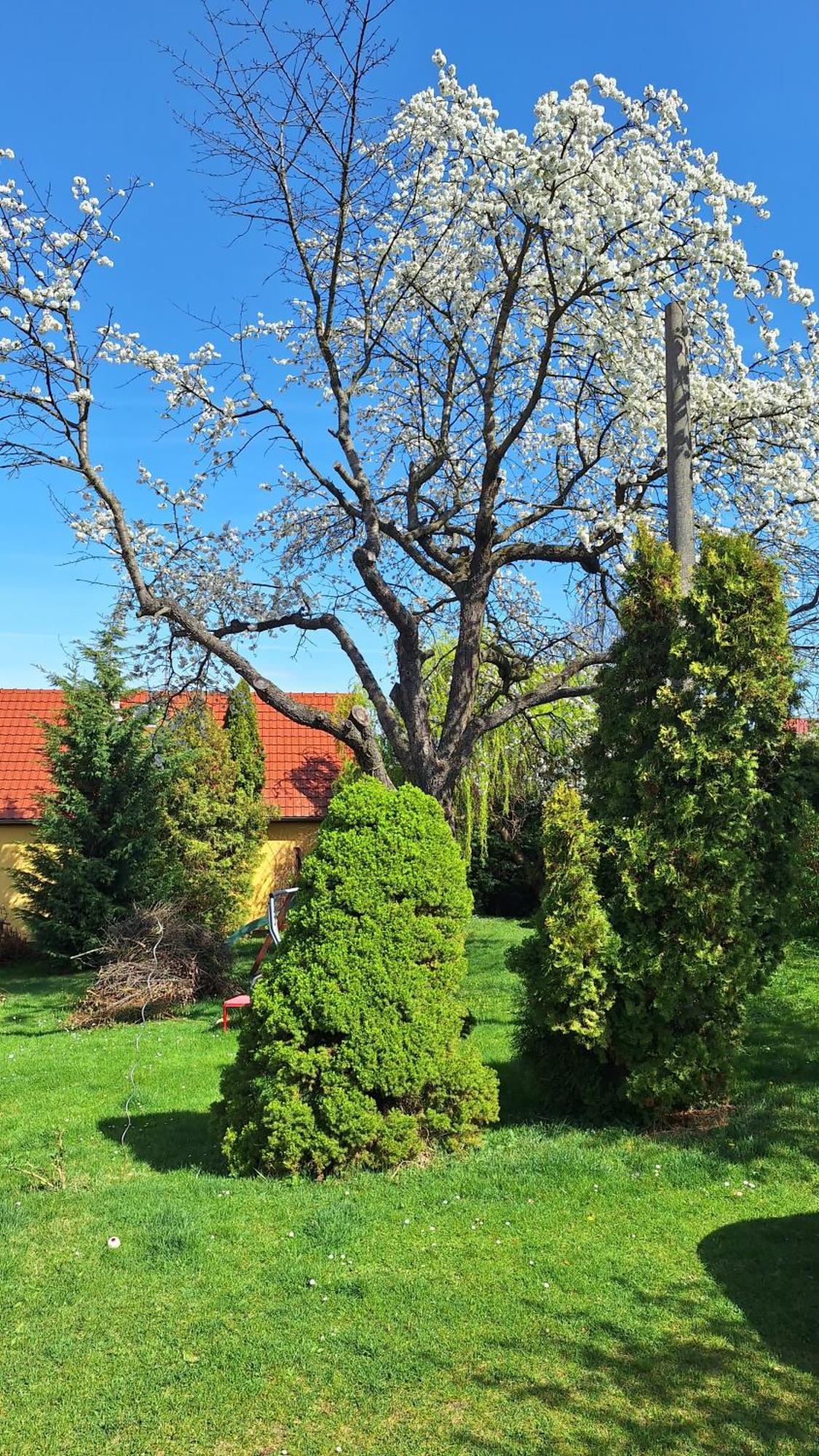 Prague Zbraslav Old Garden Διαμέρισμα Εξωτερικό φωτογραφία